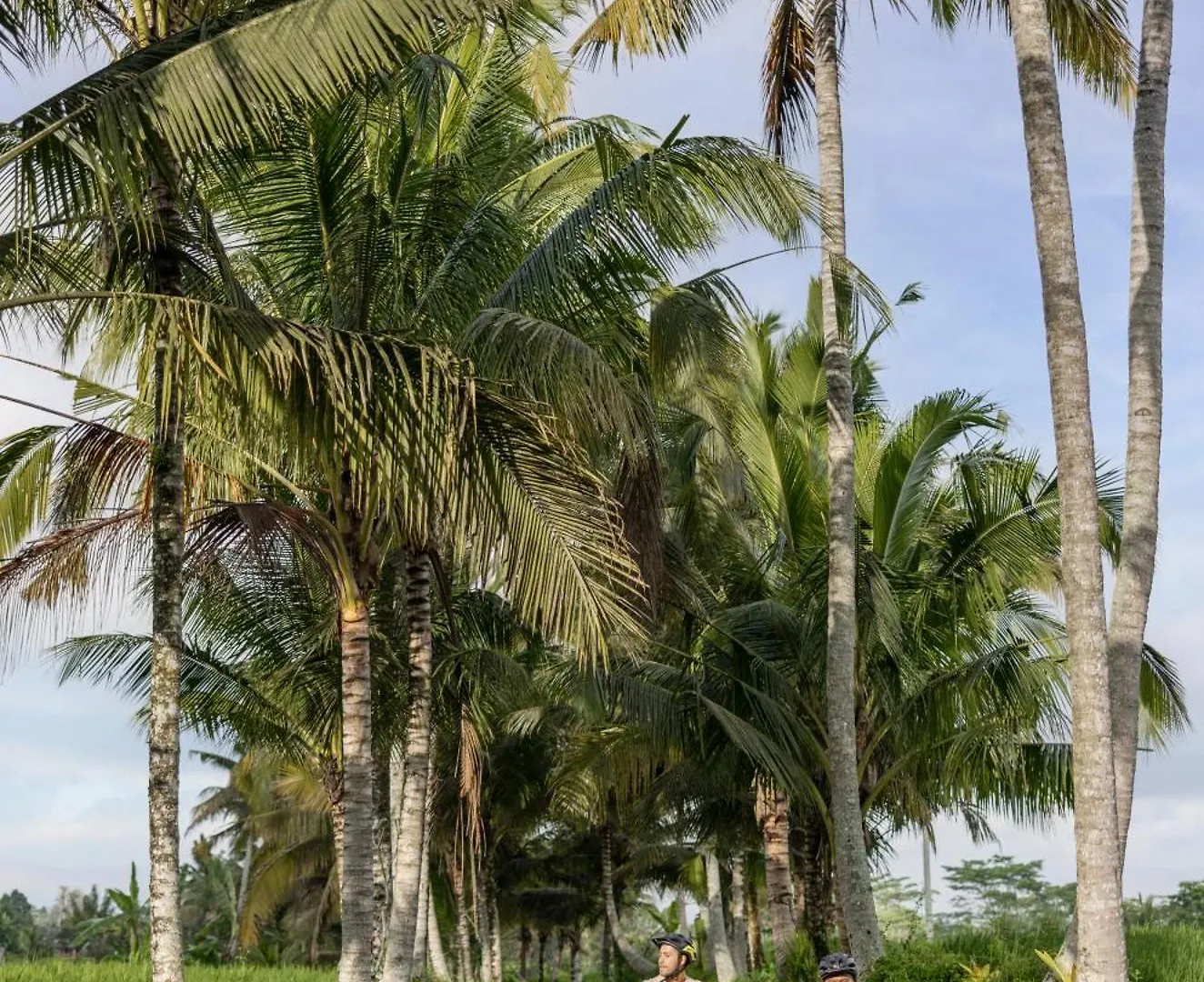 **** Resort Wapa Di Ume Ubud Indonesië