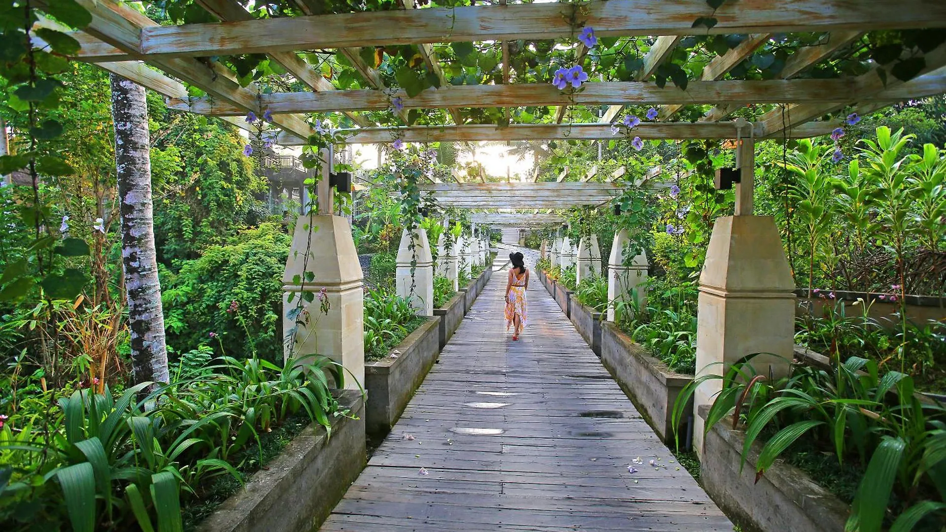 Wapa Di Ume Ubud
