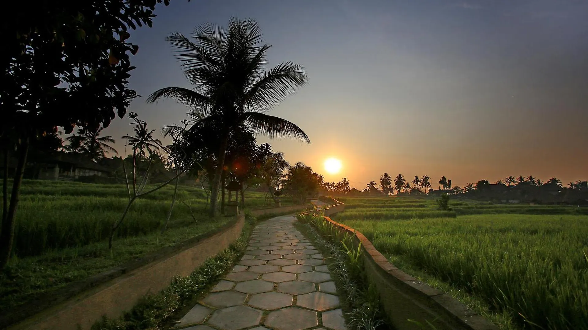 Resort Wapa Di Ume Ubud