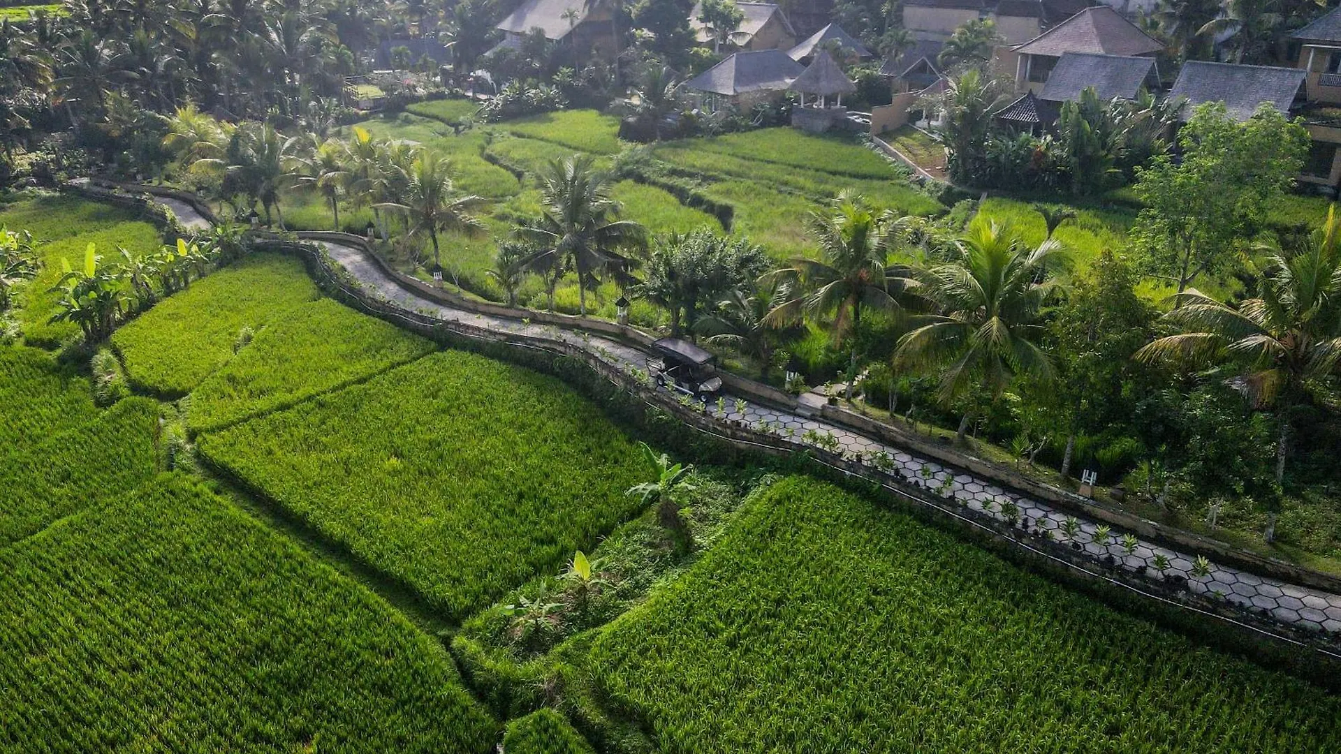 Wapa Di Ume Ubud Indonesië