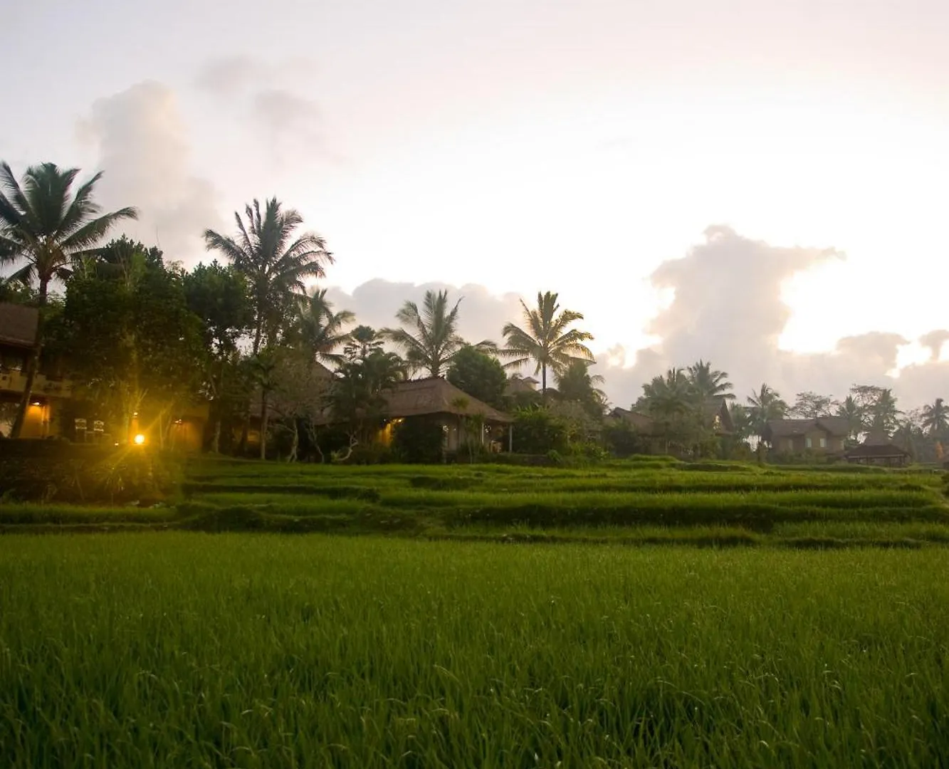 Resort Wapa Di Ume Ubud