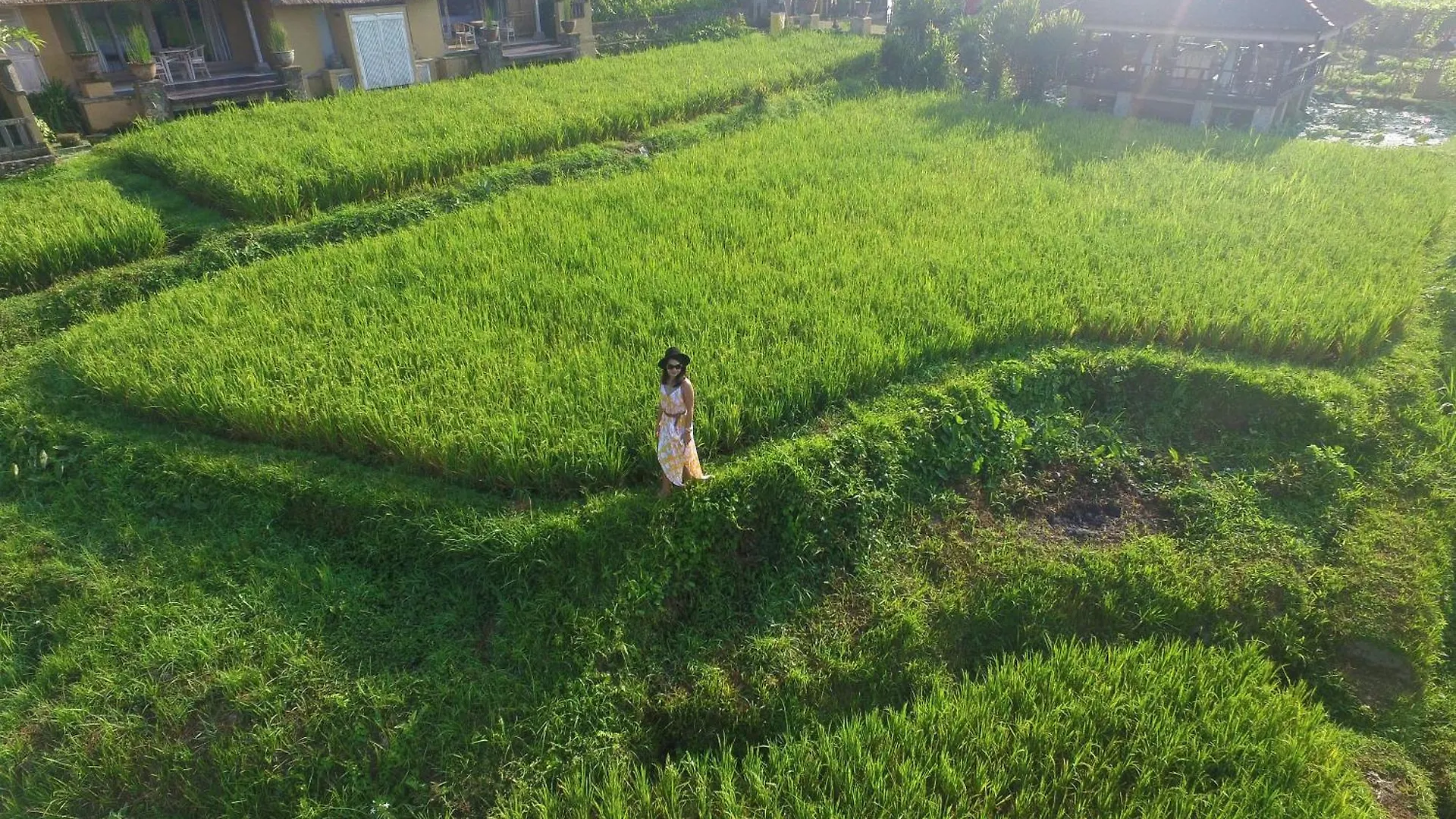 Wapa Di Ume Ubud Indonesië
